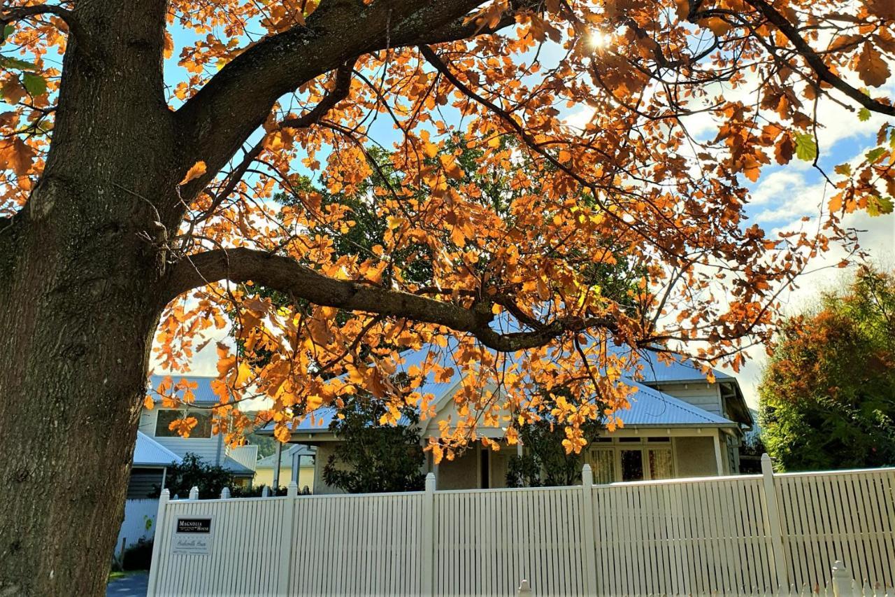 Healesville House - Magnolia House Екстериор снимка